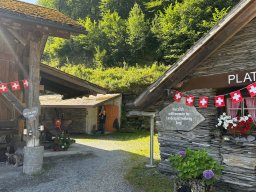 2025-08-10 - Stammausfahrt Linthgebiet Landesplattenberg