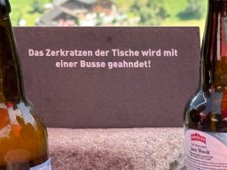 2025-08-10 - Stammausfahrt Linthgebiet Landesplattenberg