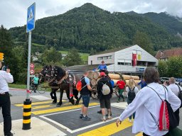 29.08.2025 - Impressionen ESAF-Festumzug in Mollis