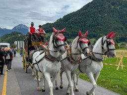 29.08.2025 - Impressionen ESAF-Festumzug in Mollis