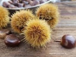 2025-10-12 - Marronifahrt